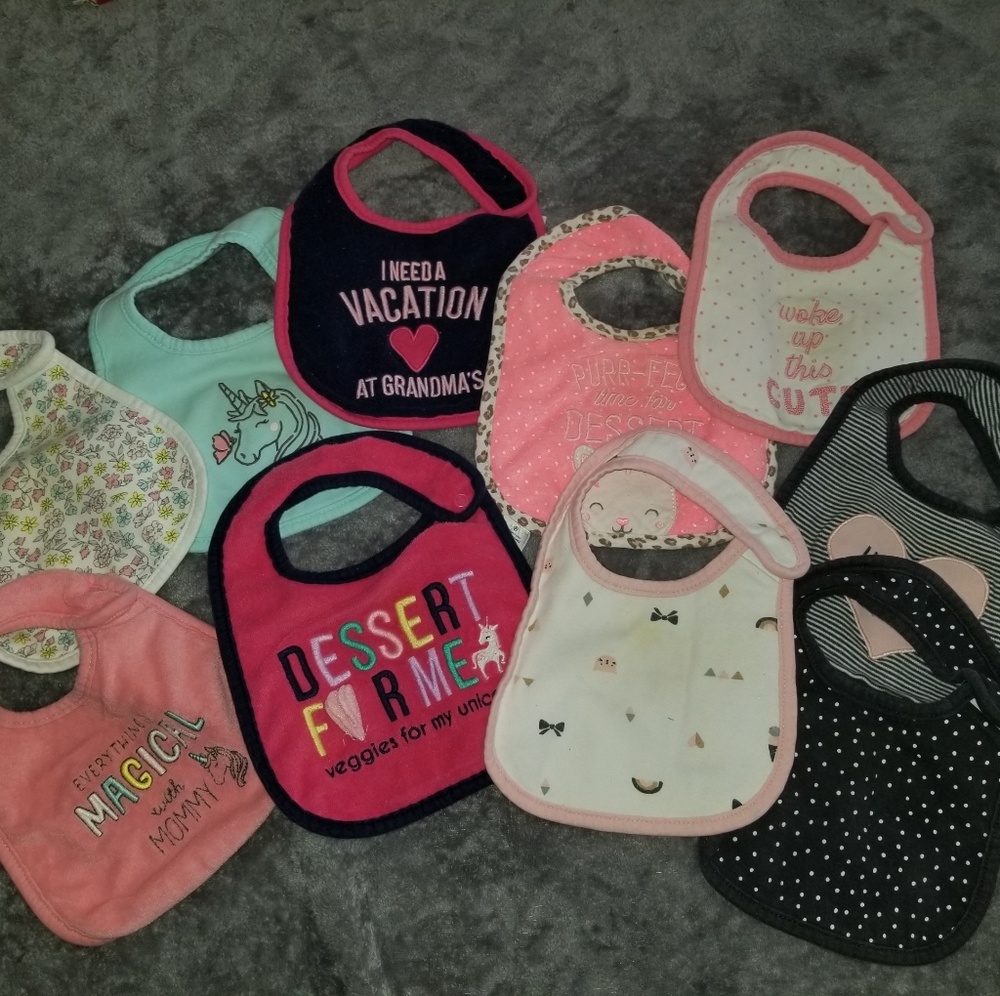 Baby Girl Bib Bundle